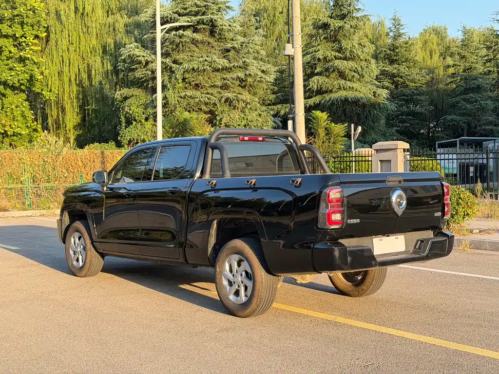 Great Wall King Kong Pao — миниатюра 4