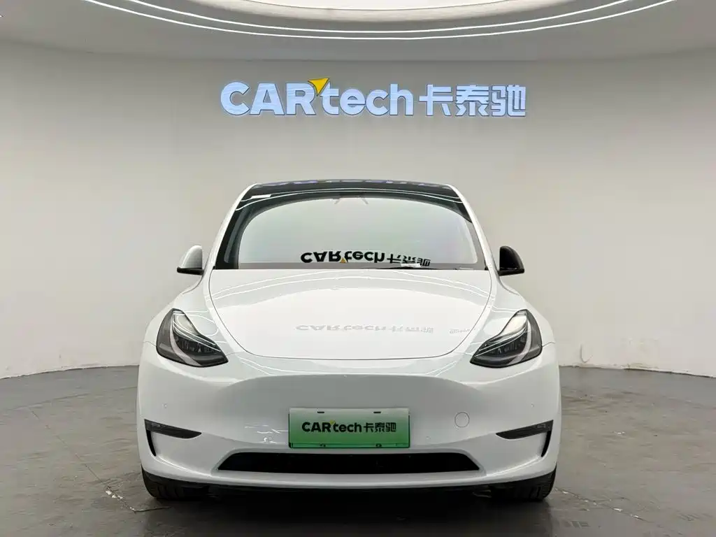 Tesla Model Y — миниатюра 2