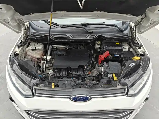 Ford Ecosport — миниатюра 11