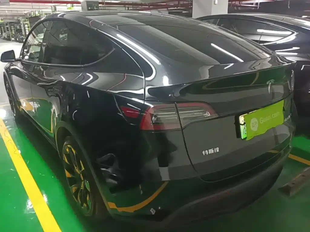 Tesla Model Y — миниатюра 5