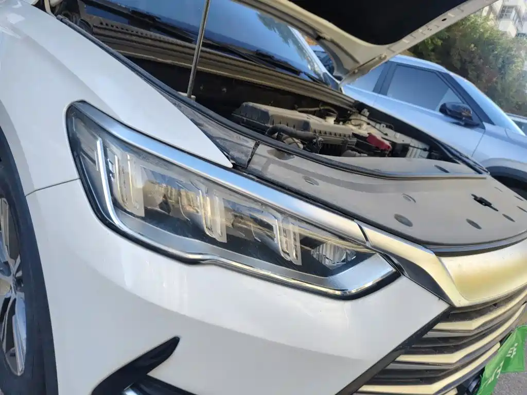 BYD Pro — миниатюра 7