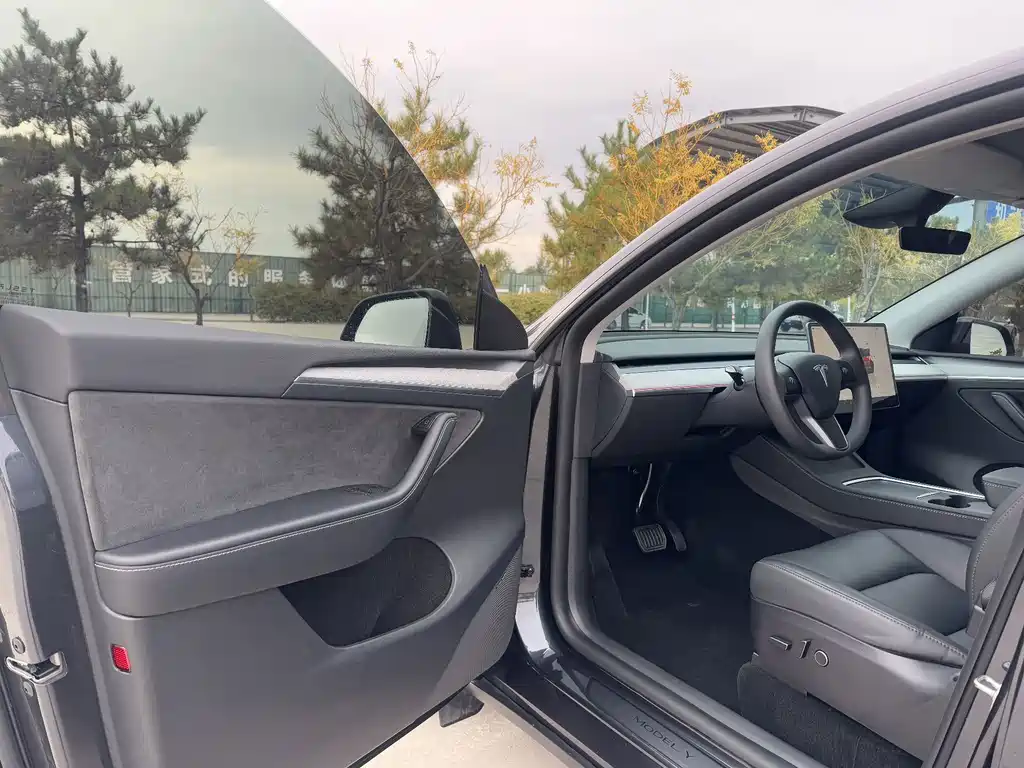 Tesla Model Y — миниатюра 4