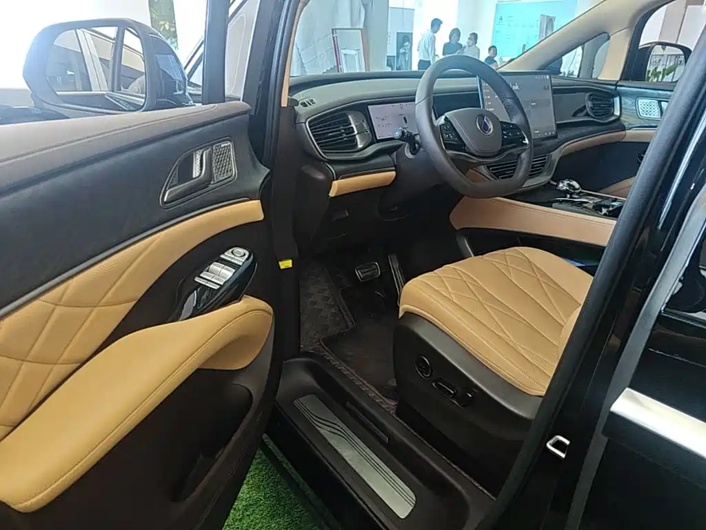 Denza Denza D9 — миниатюра 16
