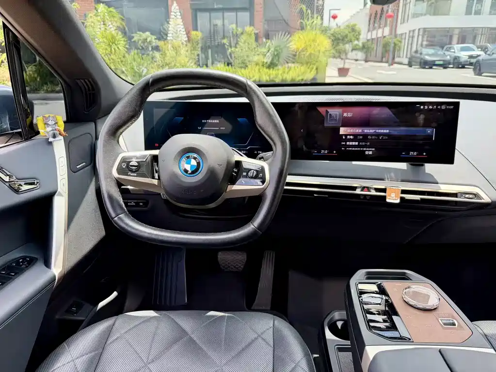BMW iX — миниатюра 10