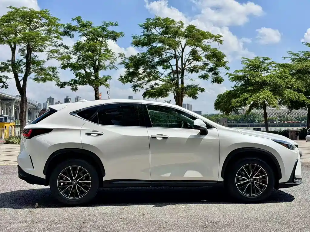 Lexus NX — миниатюра 4