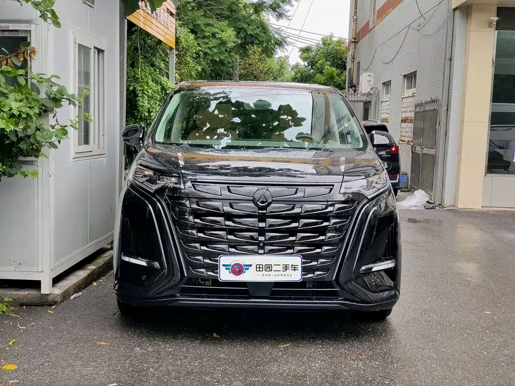 Denza Denza D9 — миниатюра 2