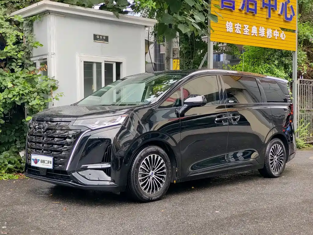 Denza Denza D9