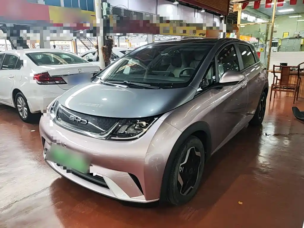 BYD Dolphin — миниатюра 2