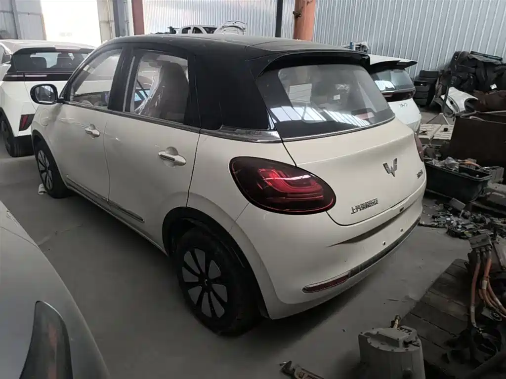 Wuling Binguo 2025 333km Enjoy