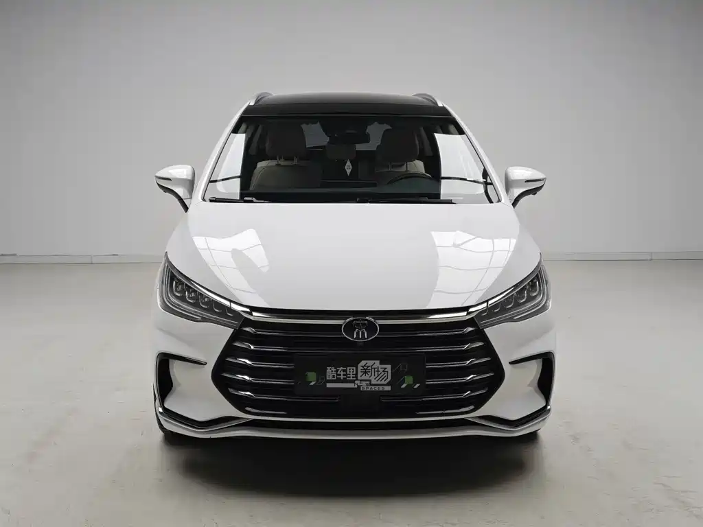 BYD MAX New Energy — миниатюра 2
