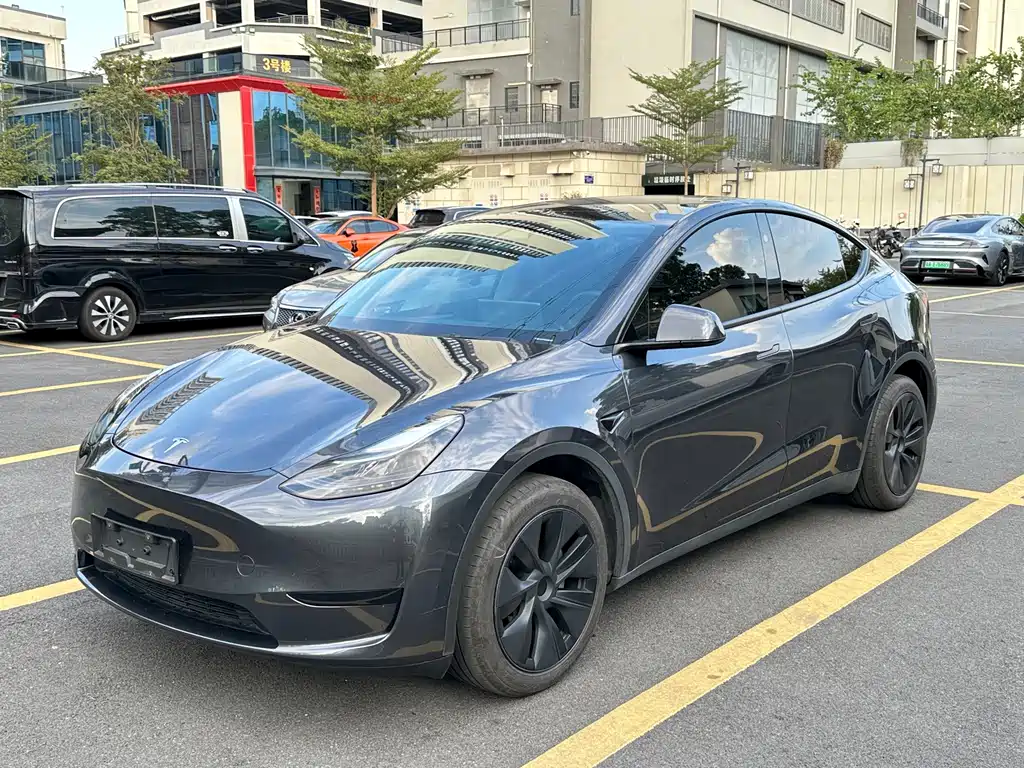 Tesla Model Y — миниатюра 8