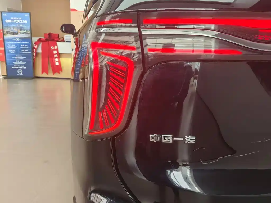 Hongqi Hongqi HQ9 — миниатюра 15