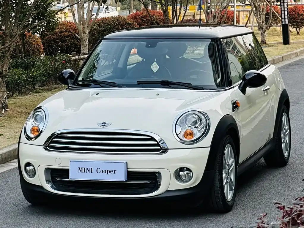Mini Mini 2012