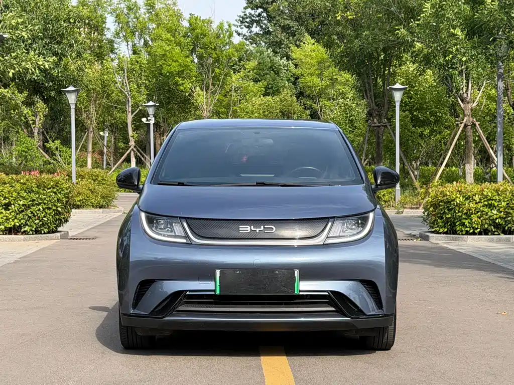 BYD Dolphin 2025 420km Freedom