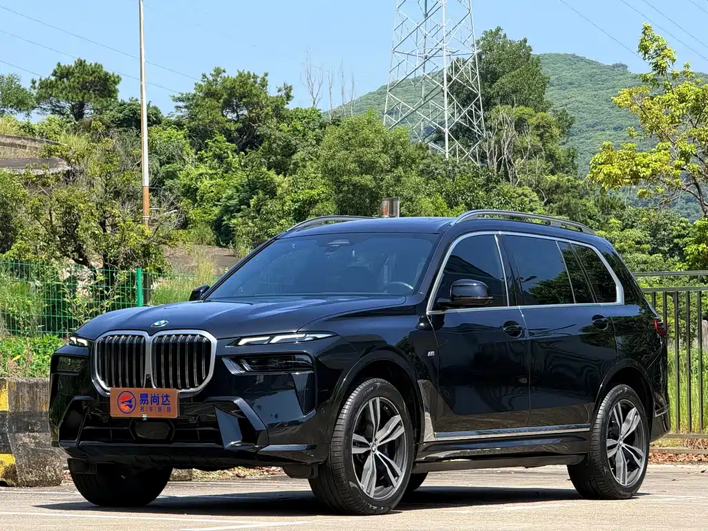BMW X7 — миниатюра 2