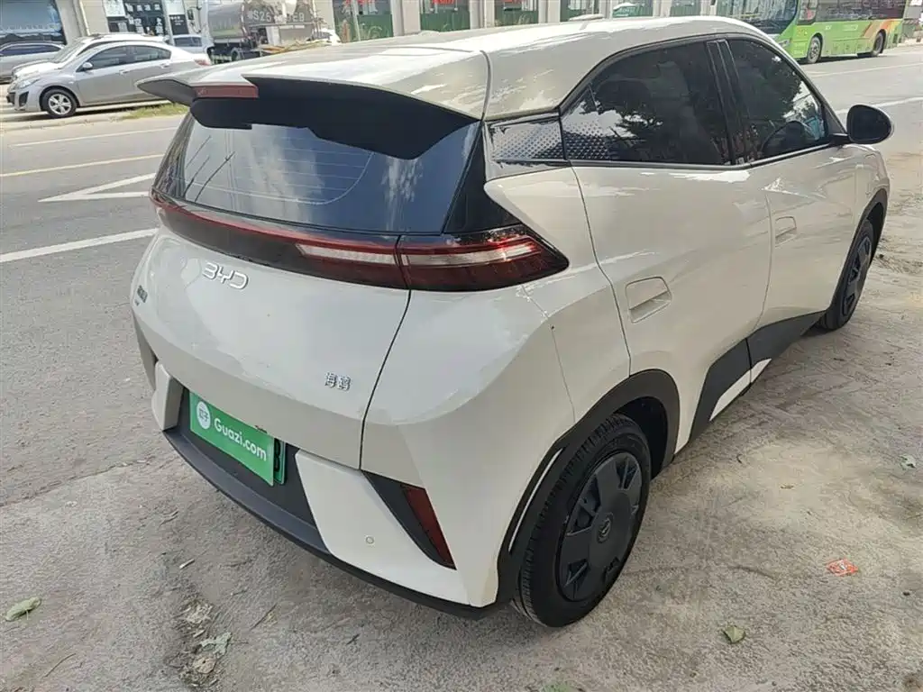 BYD Seagull 2025 Smart Drive 305km