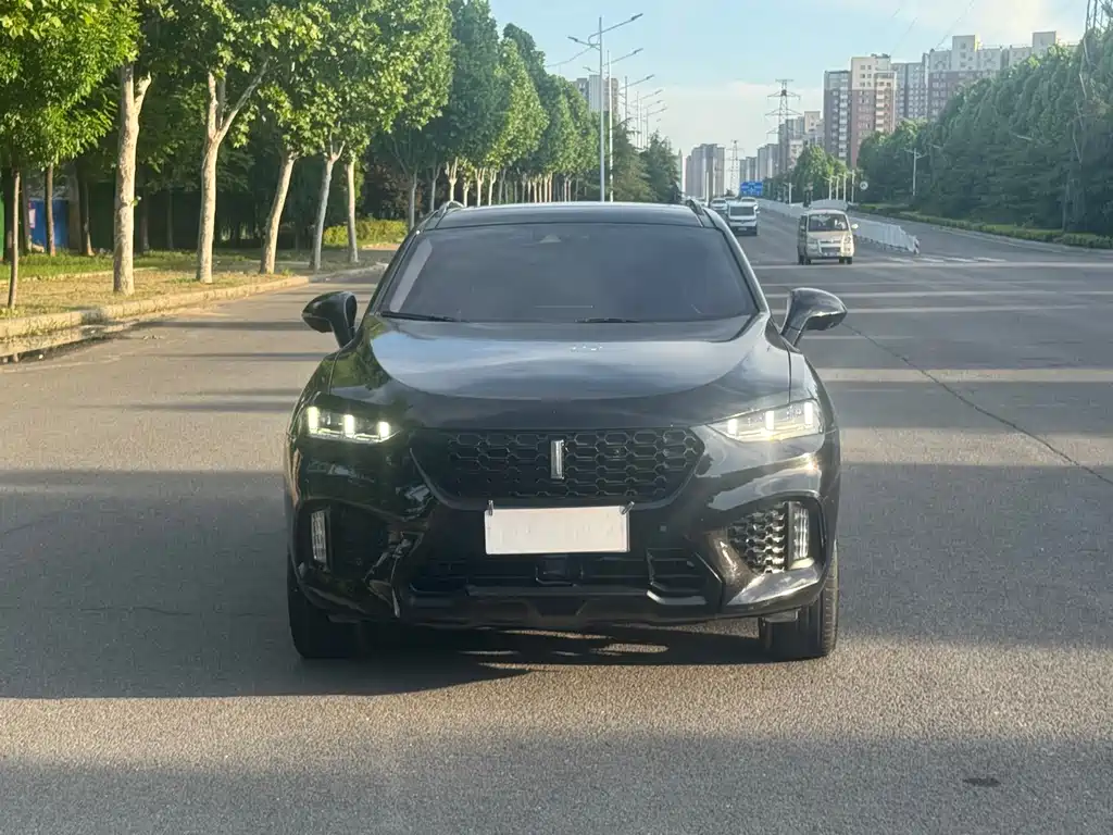 Купить Wey Wey VV7
