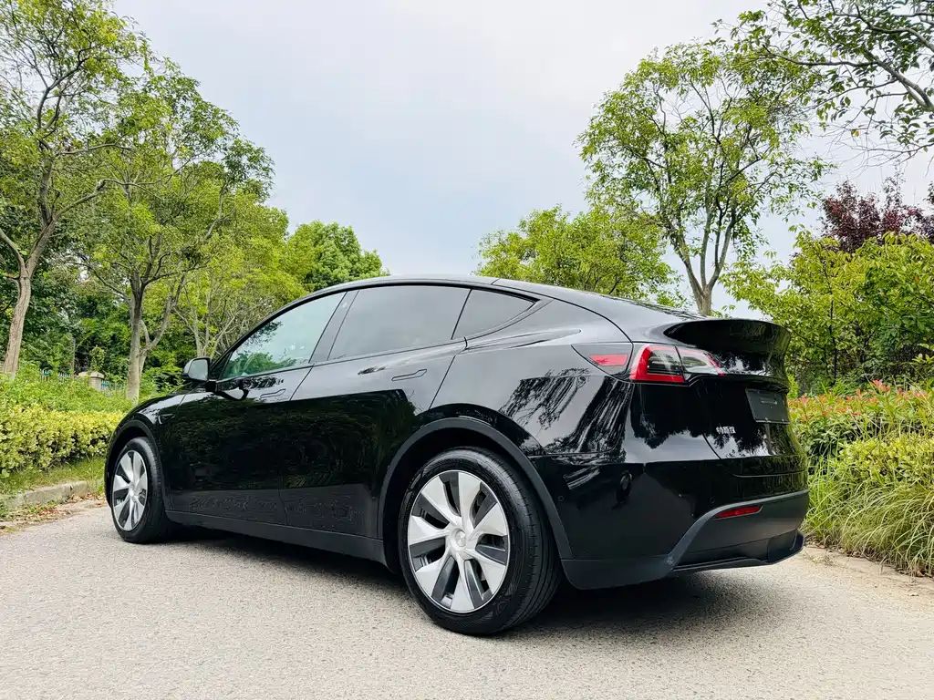 Tesla Model Y — миниатюра 12