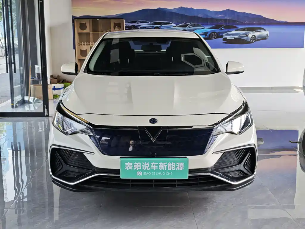 Venucia D60 EV — миниатюра 2