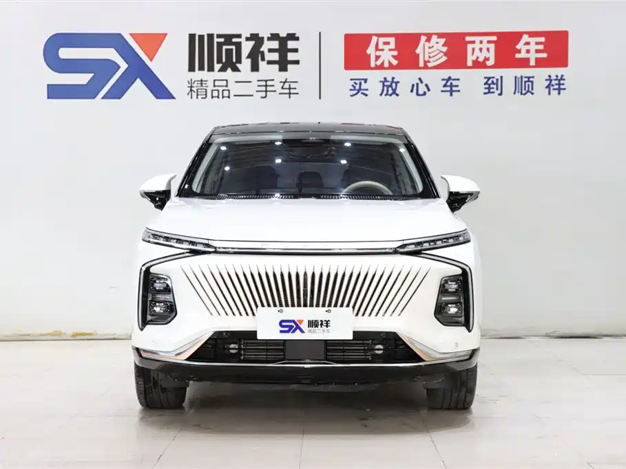 ROEWE WHALE