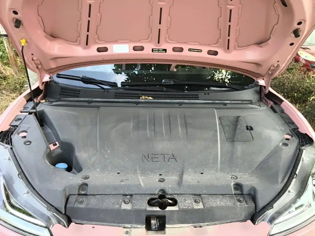 Neta Neta V — миниатюра 20