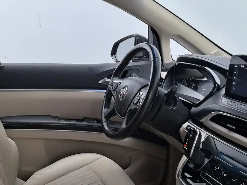 Buick GL8 — миниатюра 22