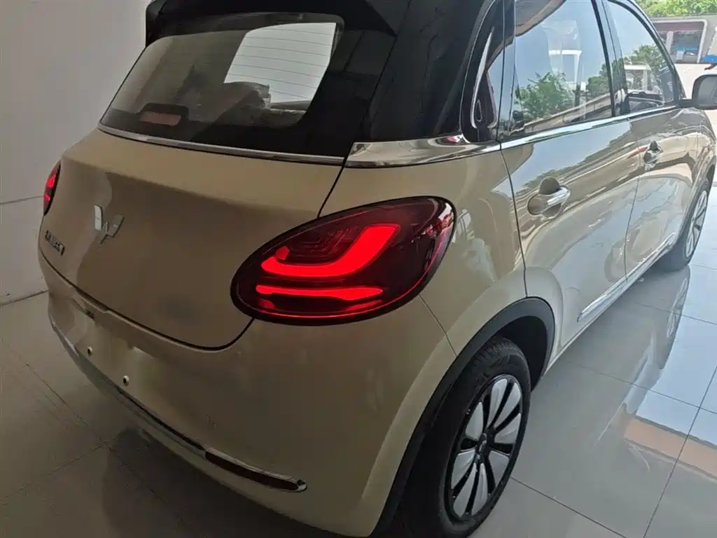 Wuling Binguo 2025 333km Enjoy