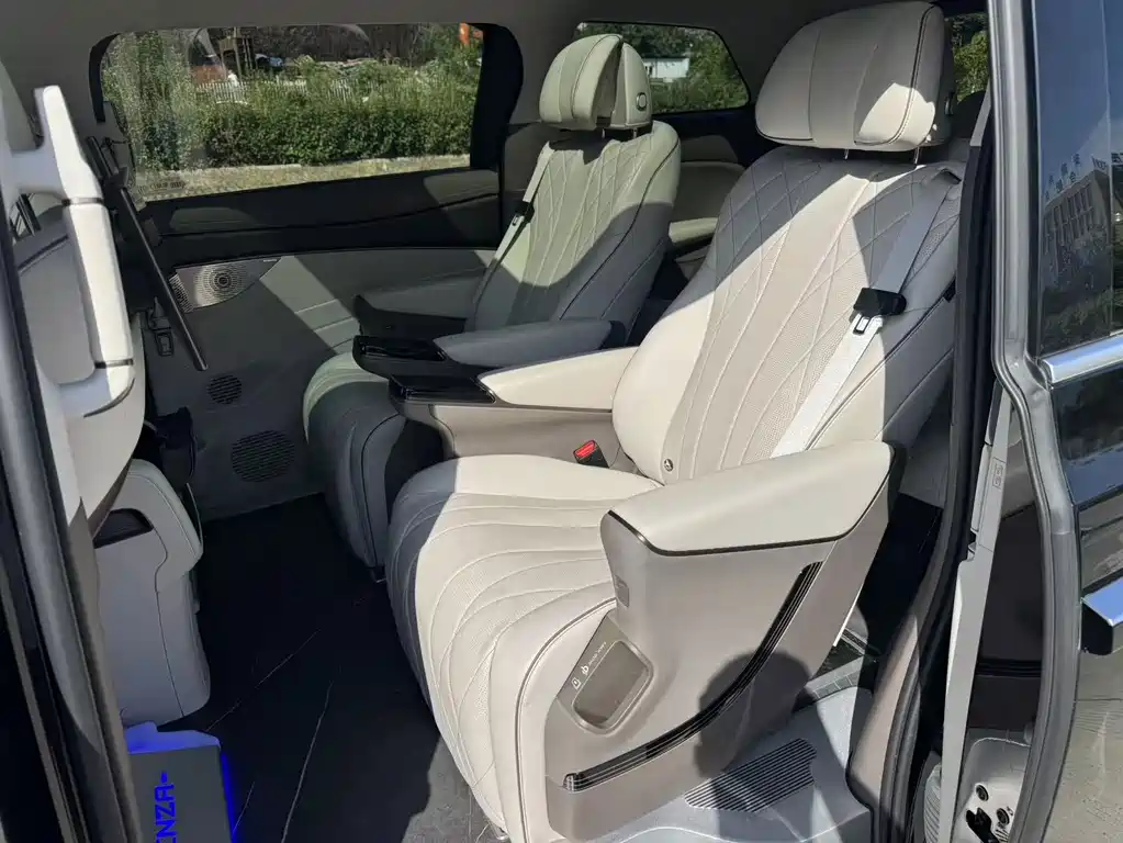 Denza Denza D9 — миниатюра 15