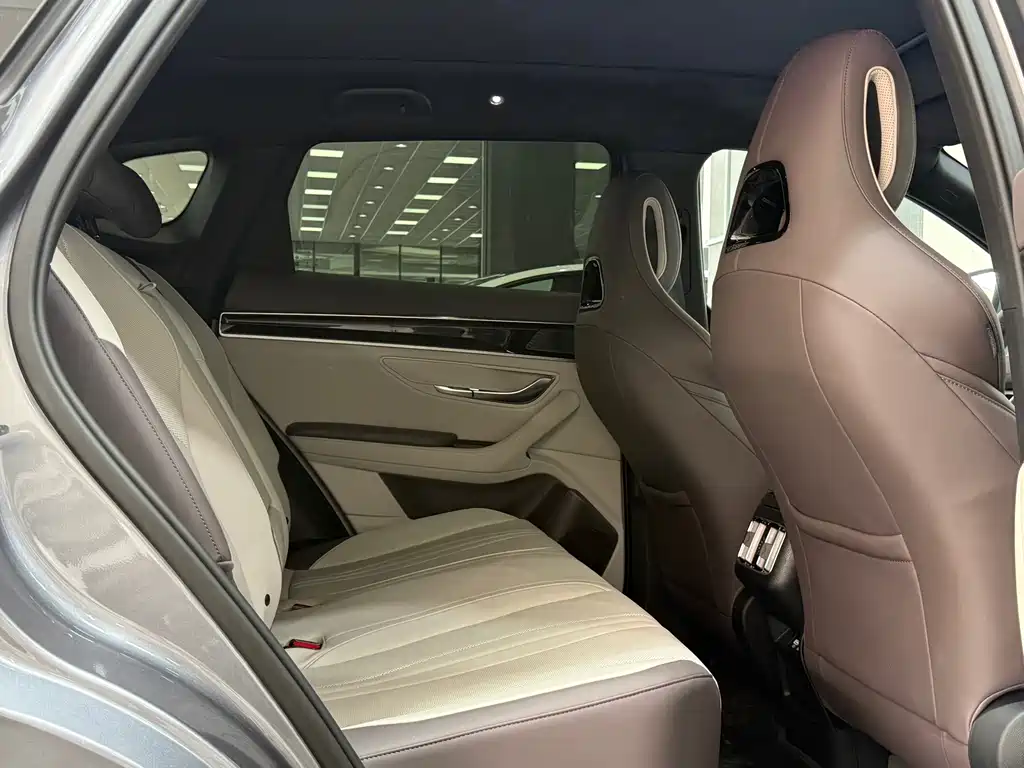 BYD PLUS New Energy — миниатюра 14
