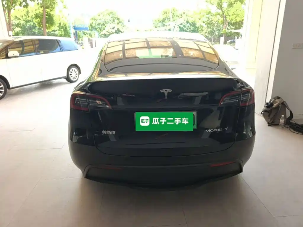 Tesla Model Y — миниатюра 6