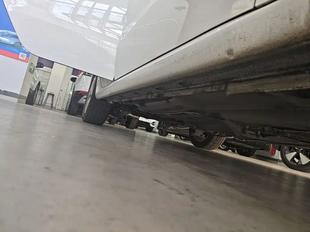 Volkswagen Gran Lavida — миниатюра 21