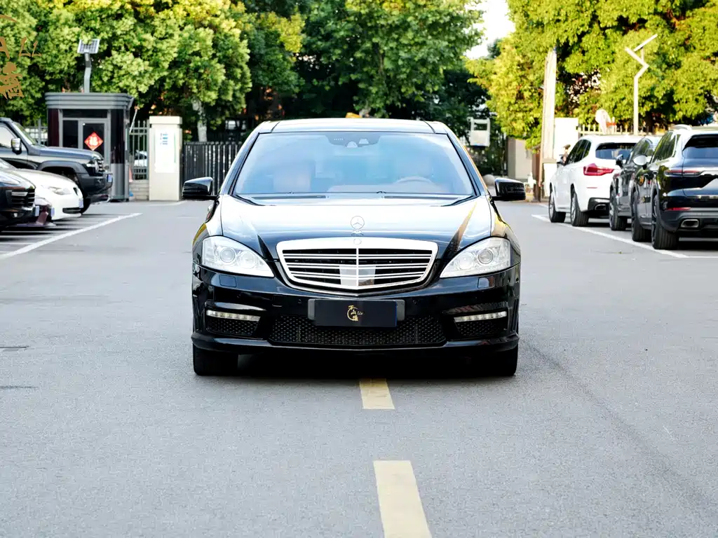 Mercedes-Benz S-Class A MG S AMG 2010 AMG S 65