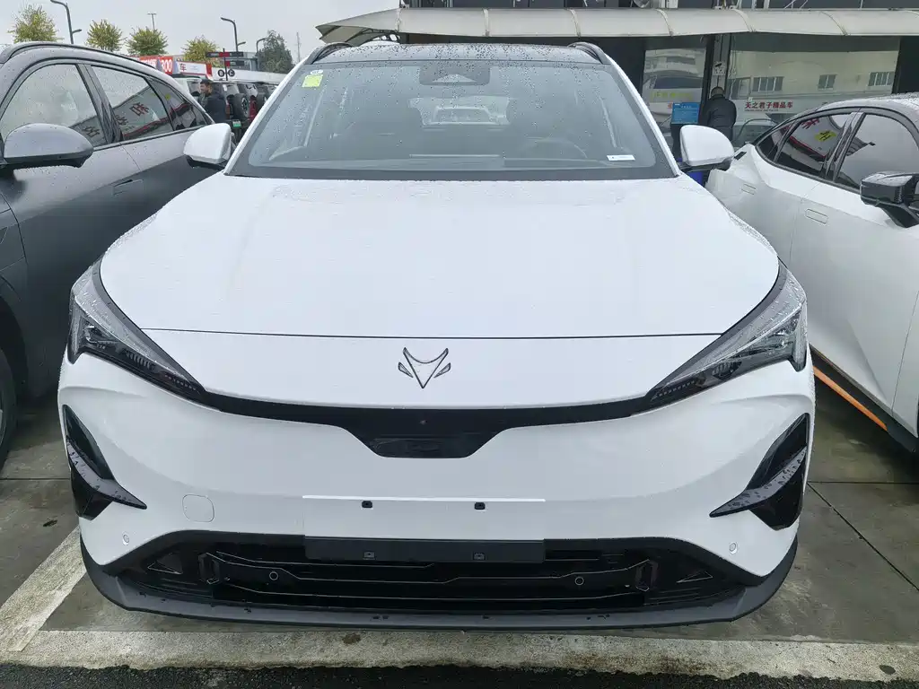 ARCFOX EXTREME FOX POLAR FOX ALPHA T5