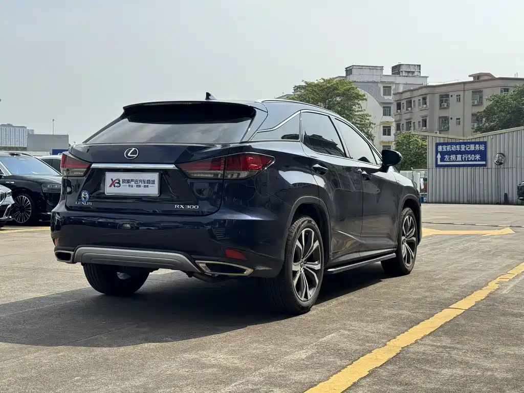 Lexus RX — миниатюра 13