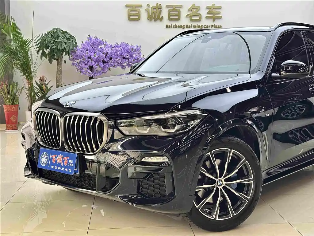 BMW X5 (Import) — миниатюра 2