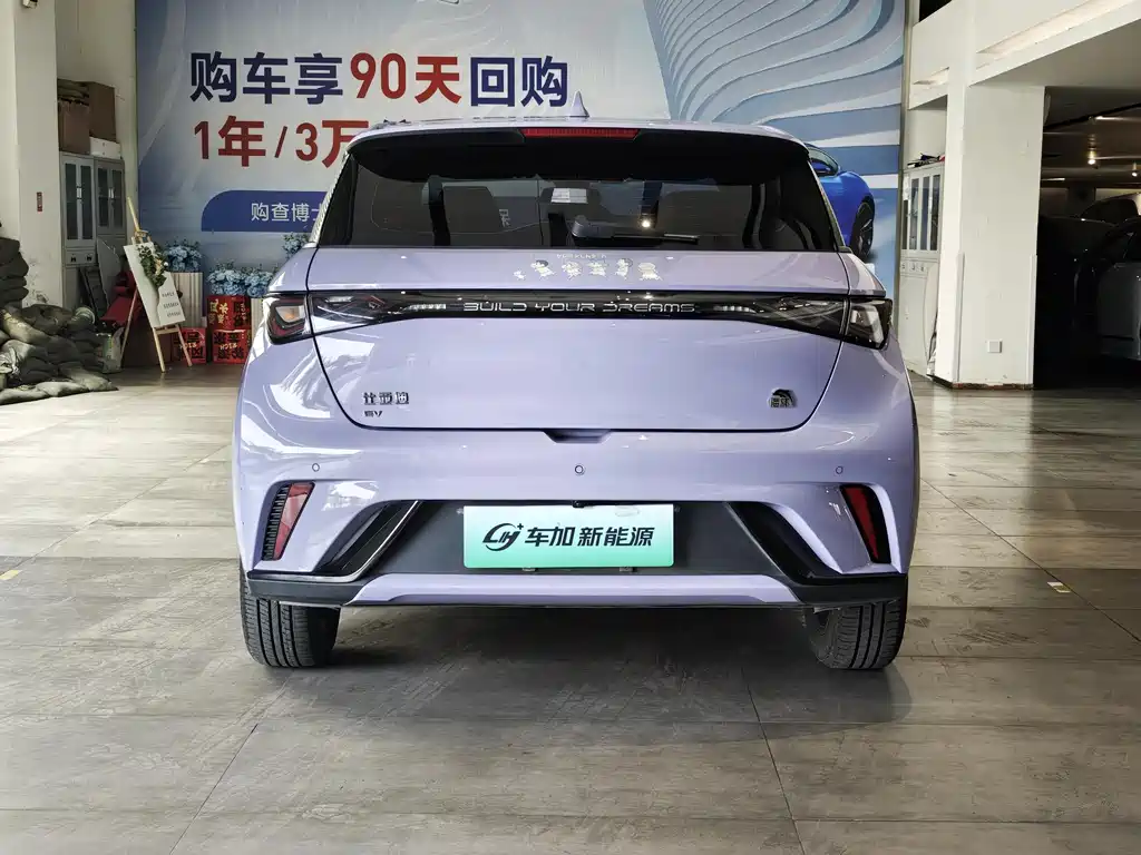 BYD Dolphin 2023 420km Fashion
