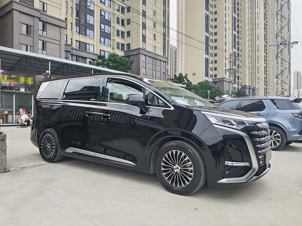 Denza Denza D9 — миниатюра 11