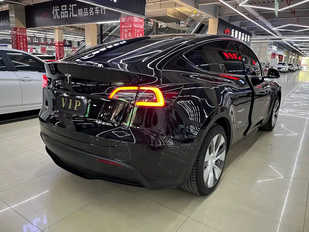 Tesla Model Y — миниатюра 10