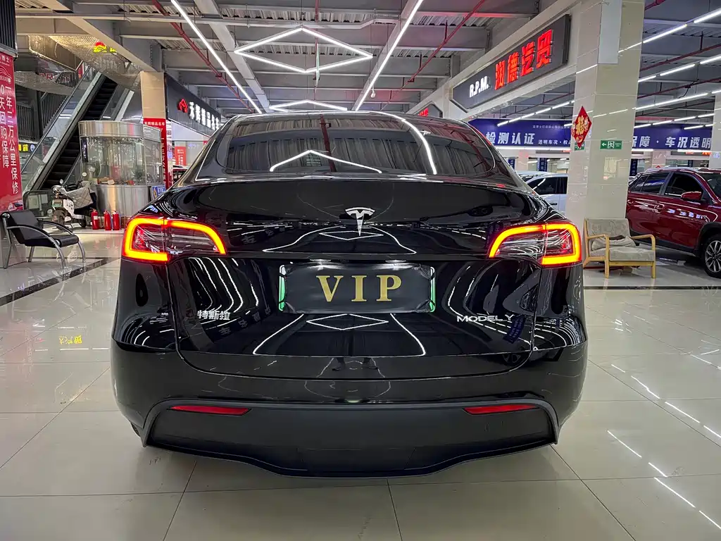 Tesla Model Y — миниатюра 11