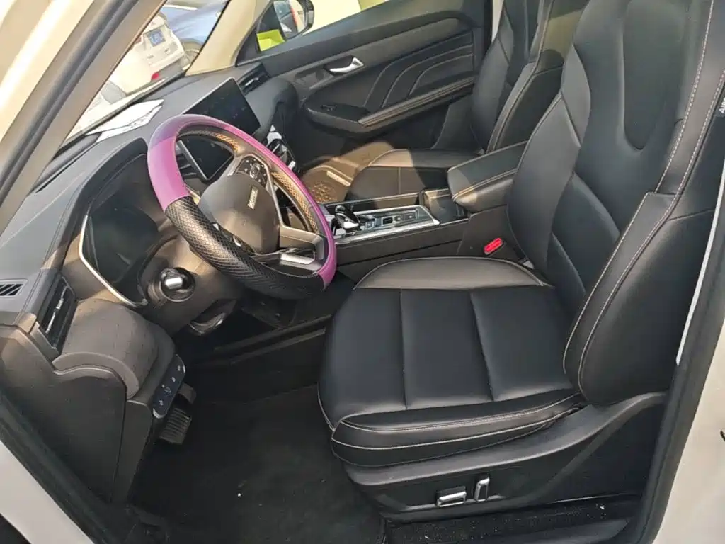 Haval Chitu — миниатюра 15