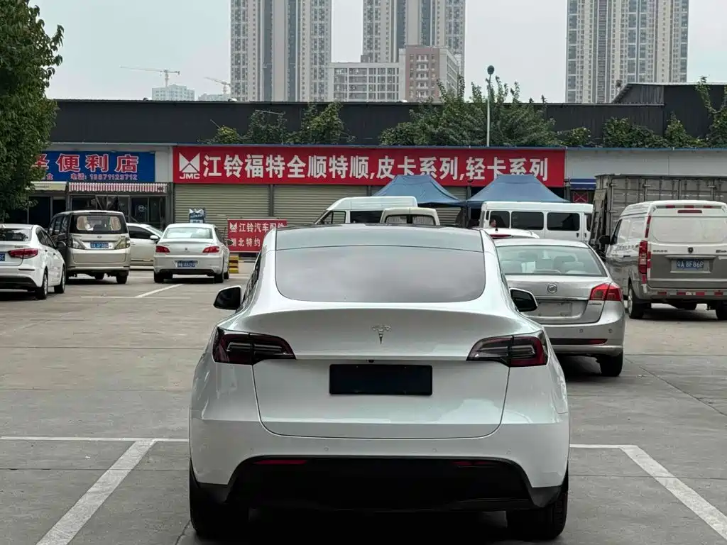 Tesla Model Y — миниатюра 4