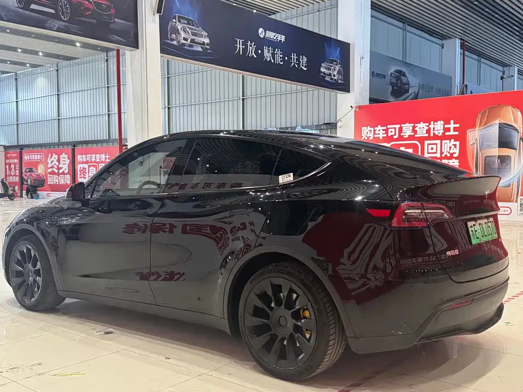 Tesla Model Y — миниатюра 6