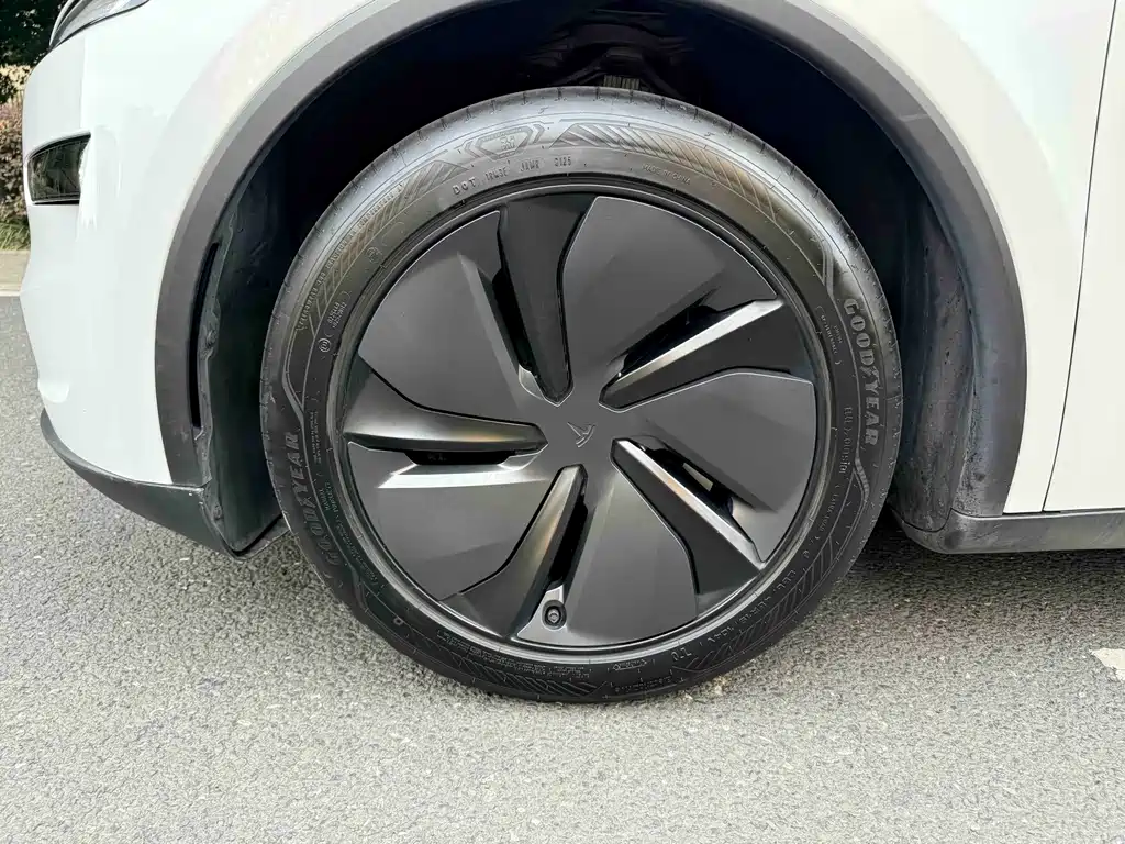 Tesla Model Y — миниатюра 4