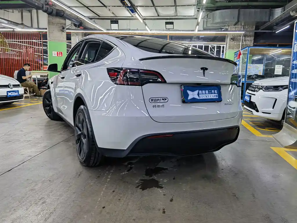 Tesla Model Y — миниатюра 6
