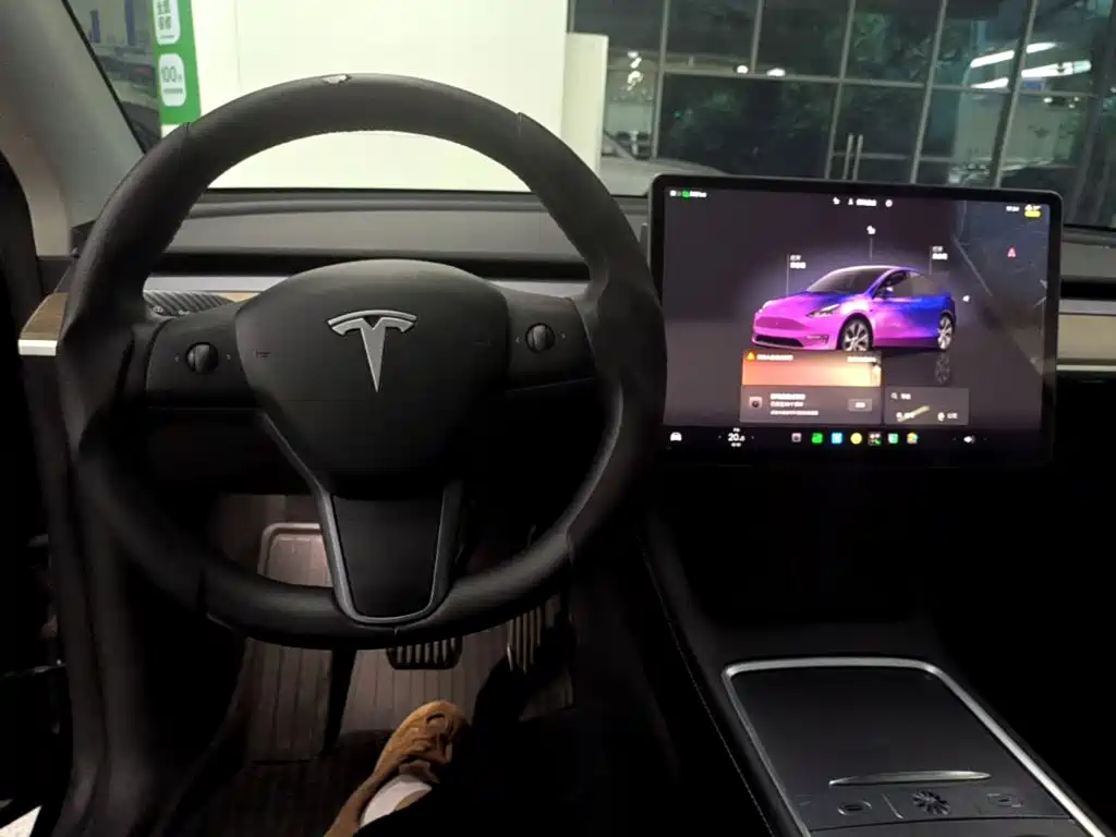 Tesla Model Y — миниатюра 11