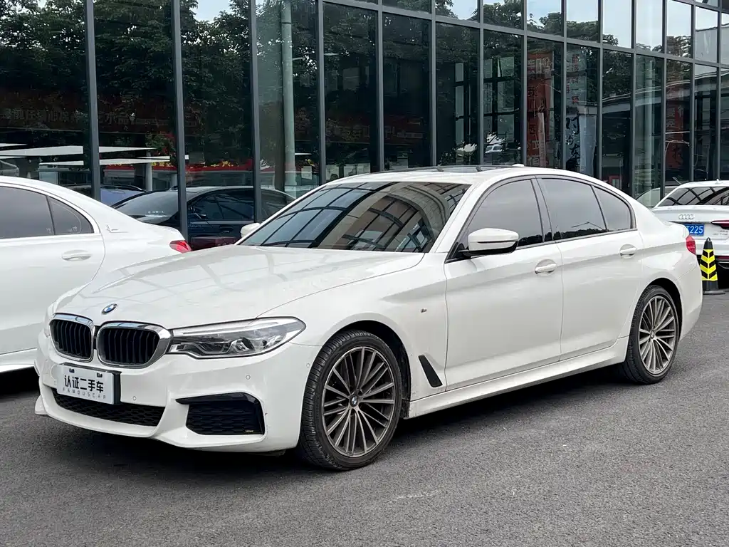 BMW 5 SERIES