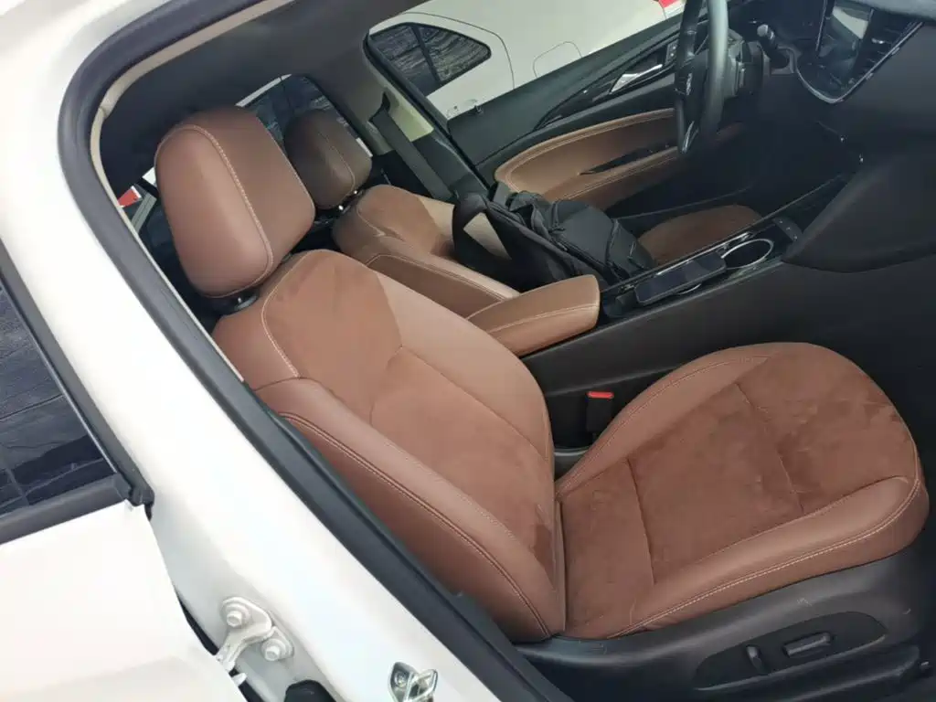 Buick Regal — миниатюра 25