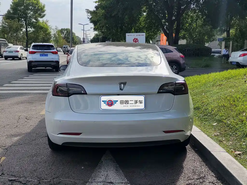 Tesla Model 3 — миниатюра 5