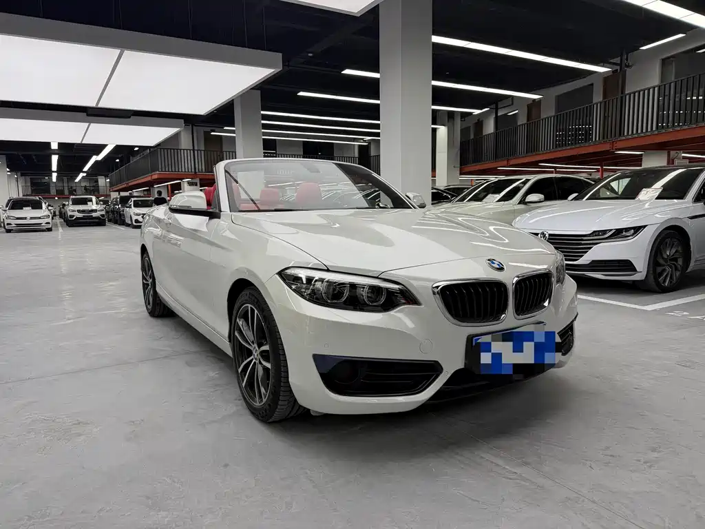 BMW 2 Series (Import) 2018