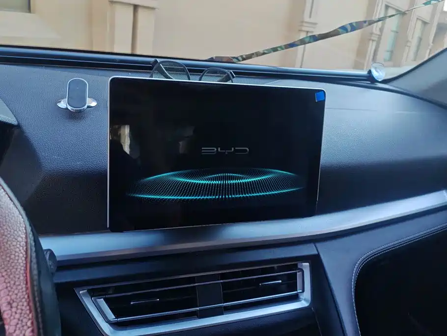 BYD Pro — миниатюра 13